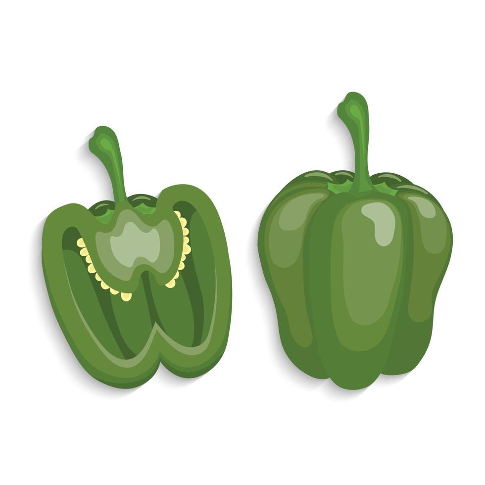 green bell pepper vector