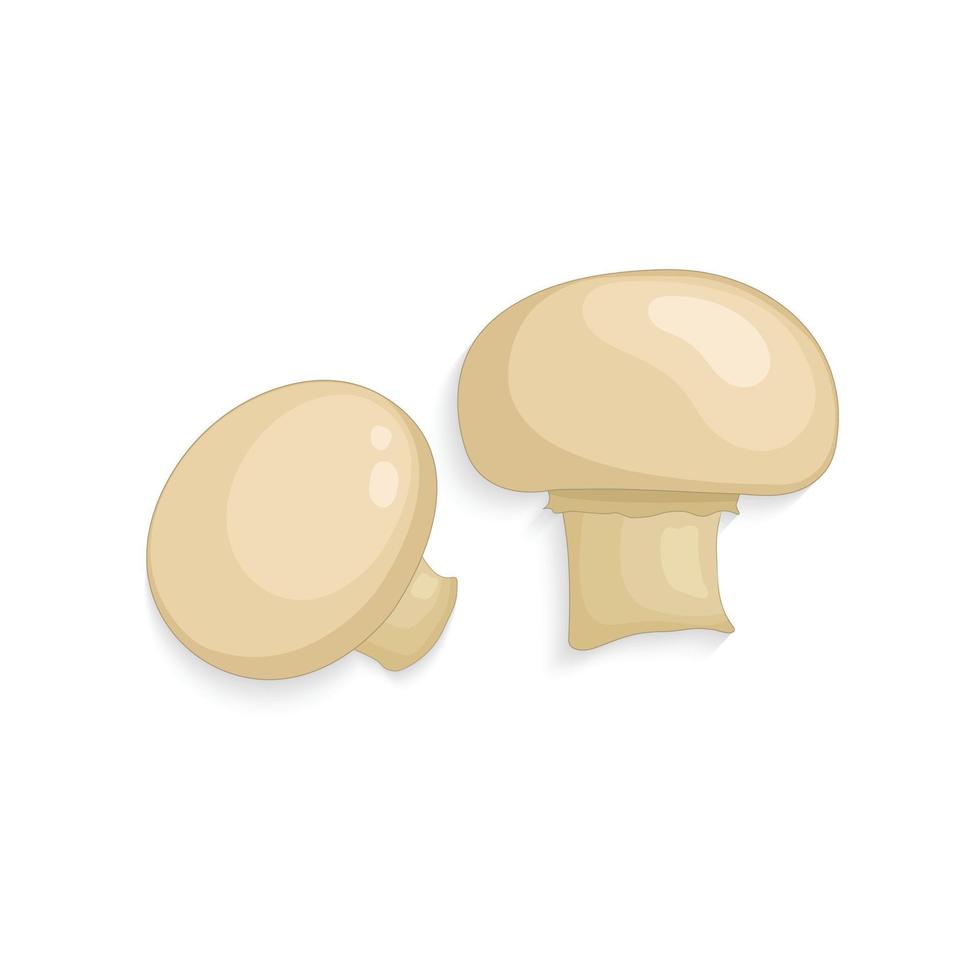 realistic champignon mushrooms illustration vector