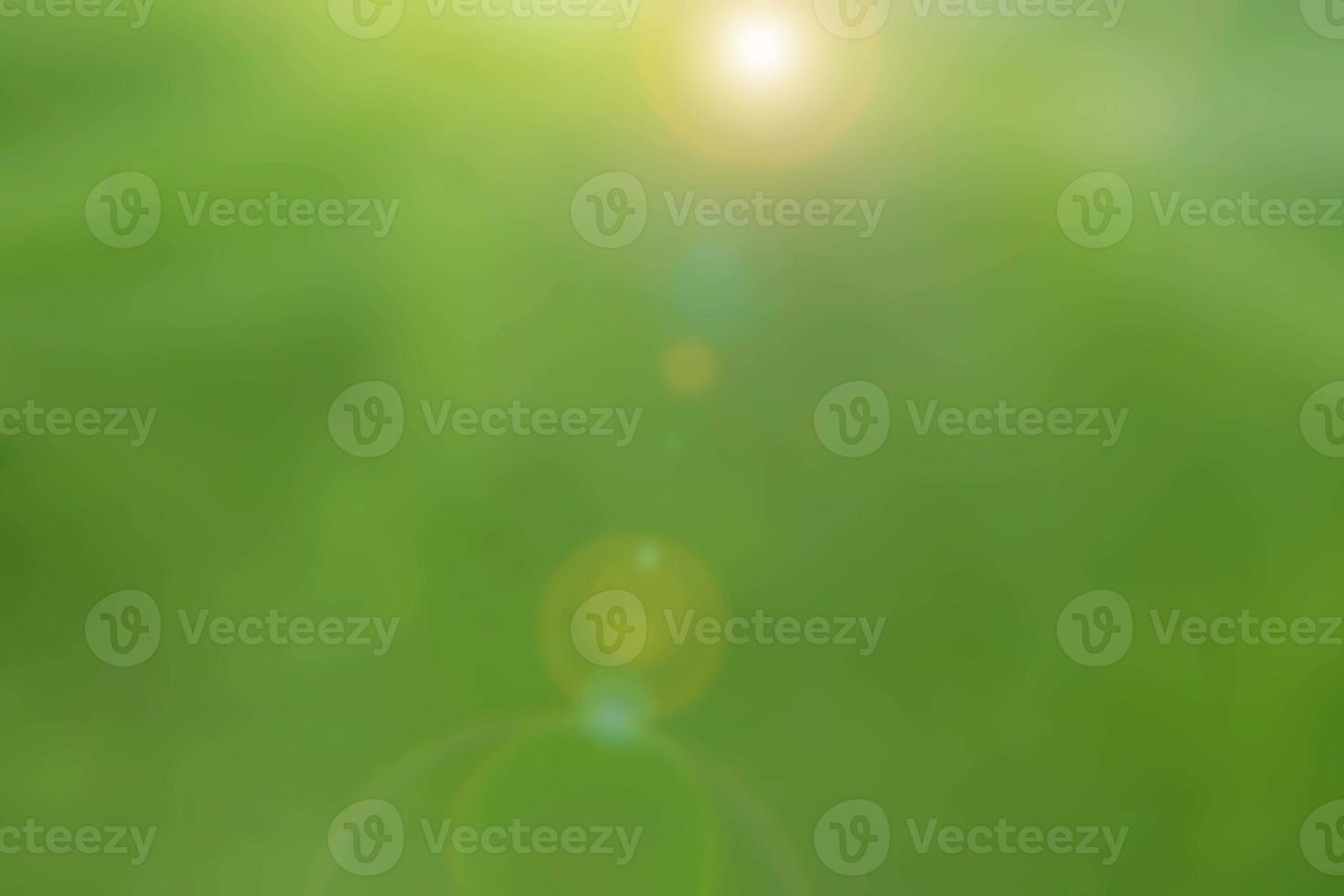 Abstract green background with the bright from sunlight. The blurred picture and light bokeh for background. Illustration. photo