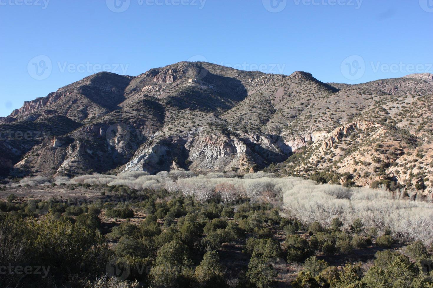 View of leafless riparian trees and vast mountains from road to Turkey Creek photo