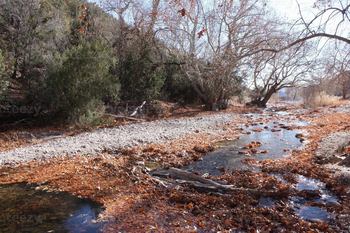 El arroyo de aguas bravas brilla mientras se escurre desde la pasarela en un día fresco con hojas de otoño foto