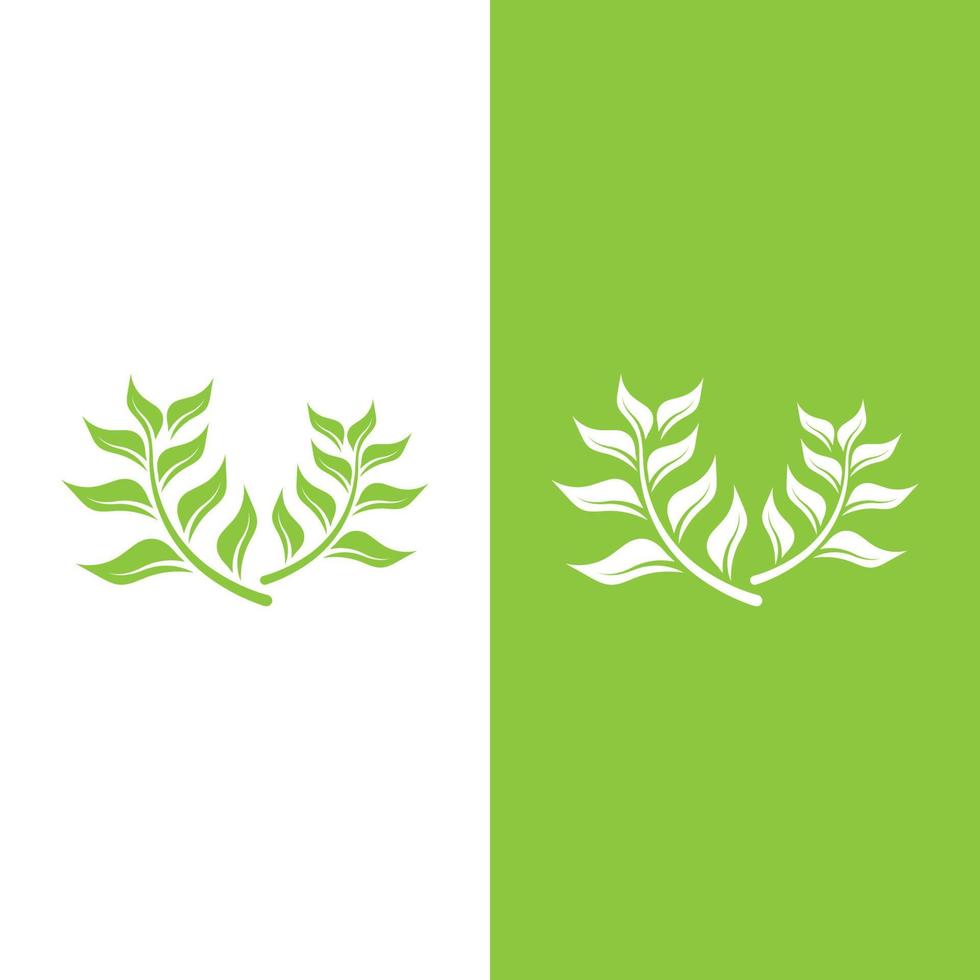 logotipos de la ecología de la hoja del árbol verde vector