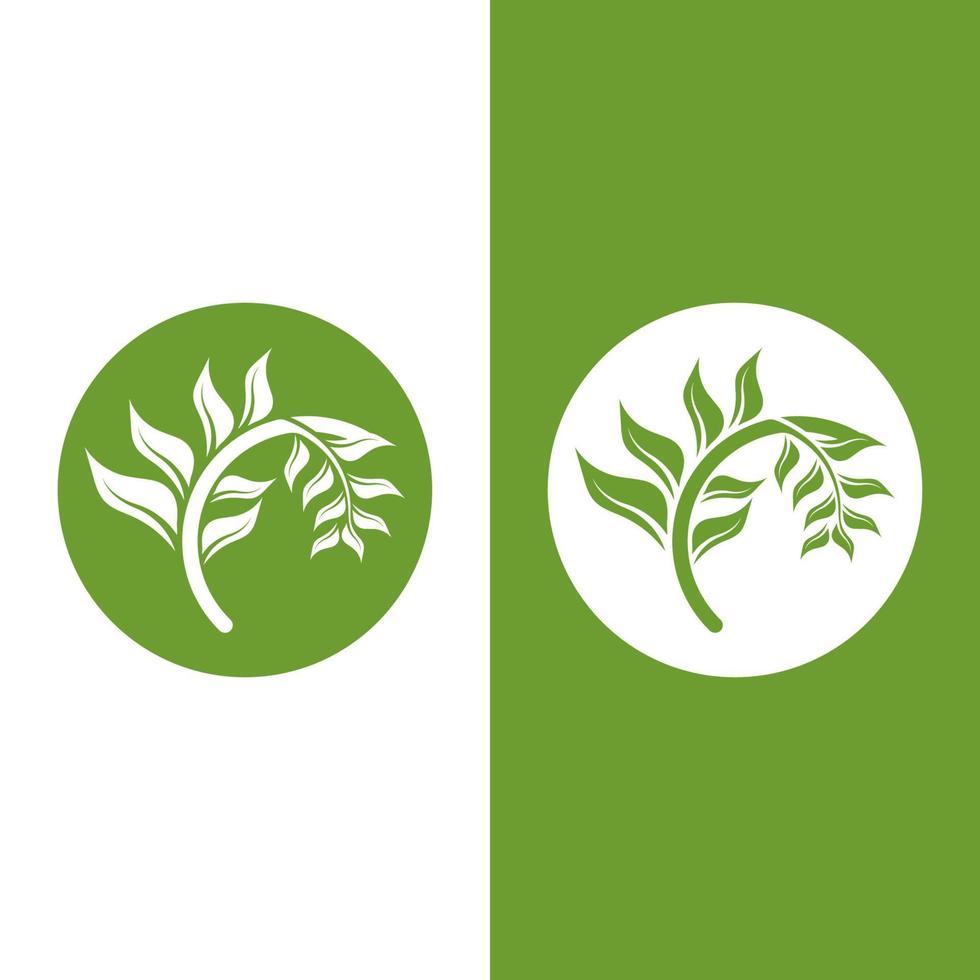 Logos of green Tree leaf ecology vector