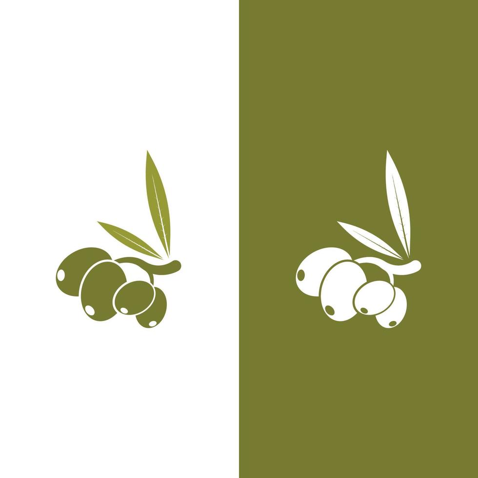 olive icon vector illustration