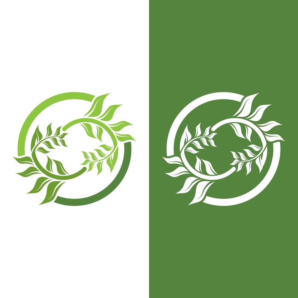 Logos of green Tree leaf ecology vector