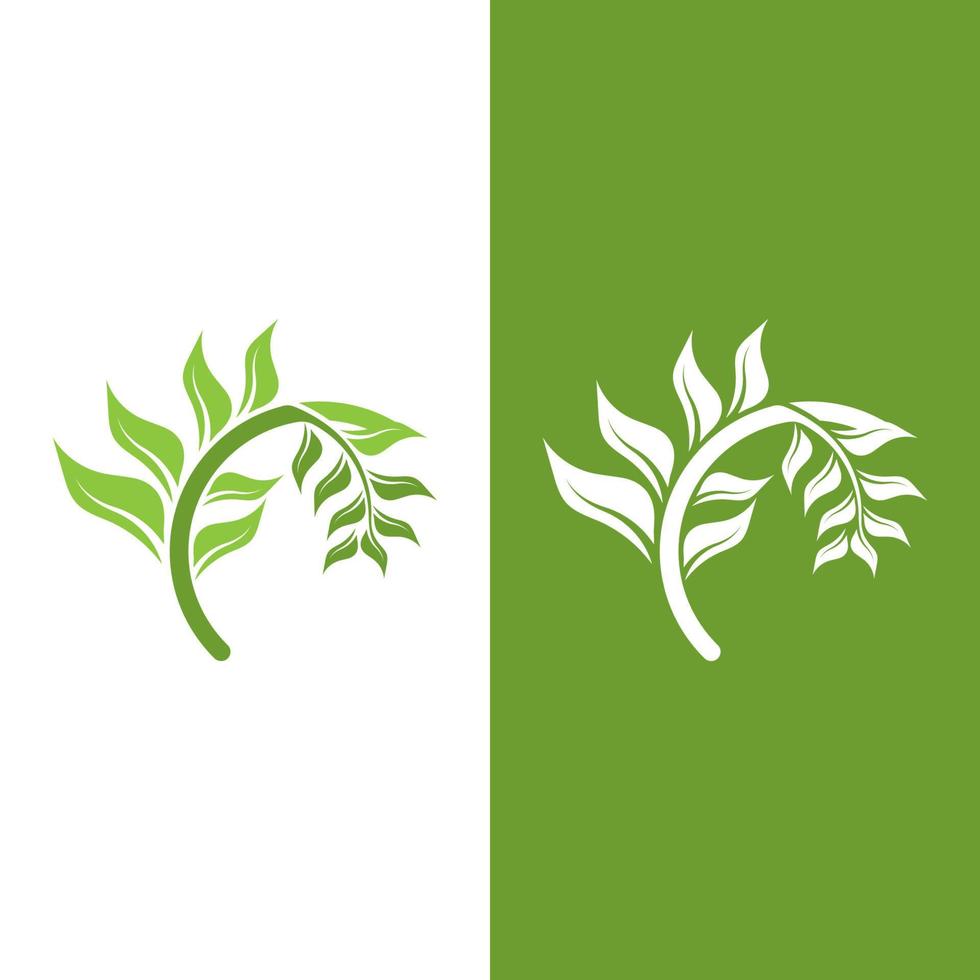 logotipos de la ecología de la hoja del árbol verde vector