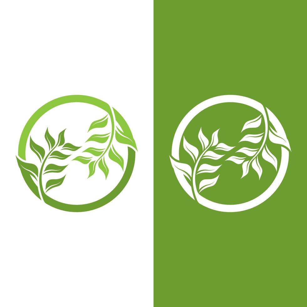 logotipos de la ecología de la hoja del árbol verde vector