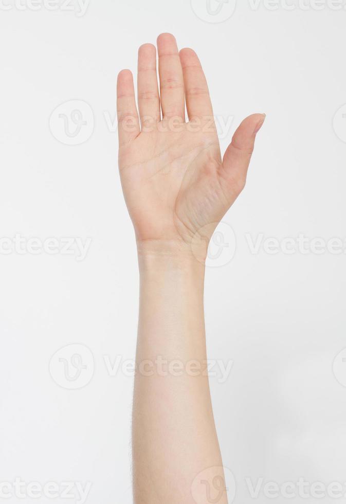 hand isolated on white.Voting hand. Mock up. Copy space. Template. Blank. photo