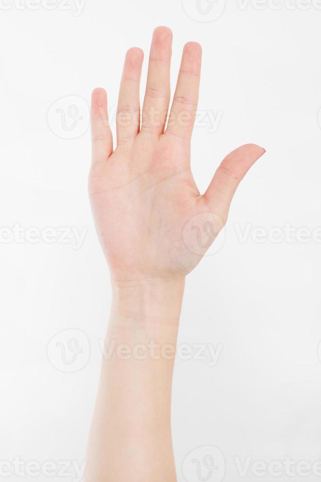 hand isolated on white.Voting hand. Mock up. Copy space. Template. Blank. photo