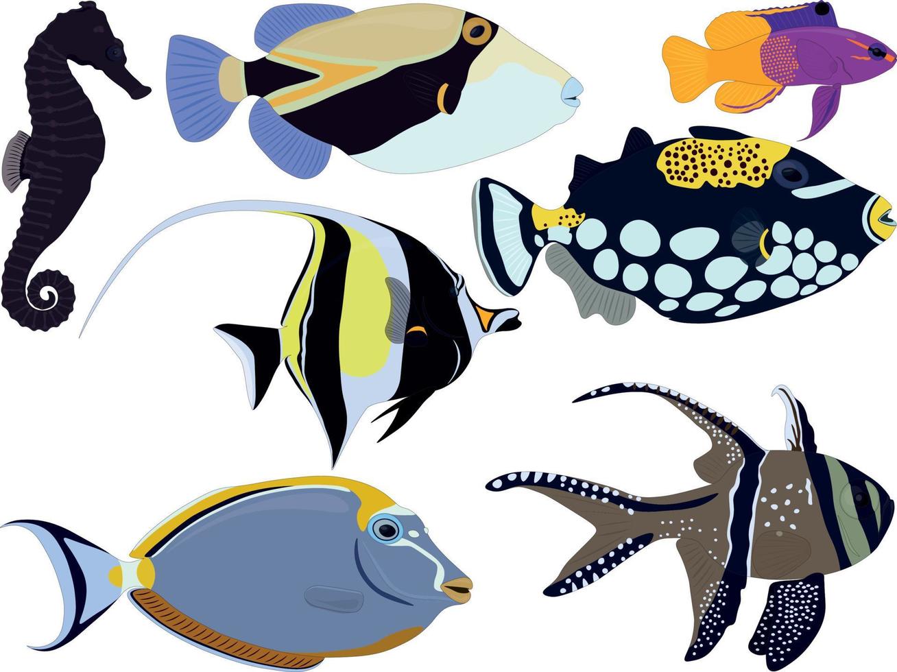 Desaparecer Avispón Entender mal Tipos de peces tropicales de acuario caballito de mar, ídolo moro,  colección de gramma ilustración vectorial 4570796 Vector en Vecteezy