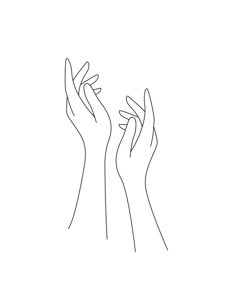 Elegant female hands outline illustration for cosmetics vector