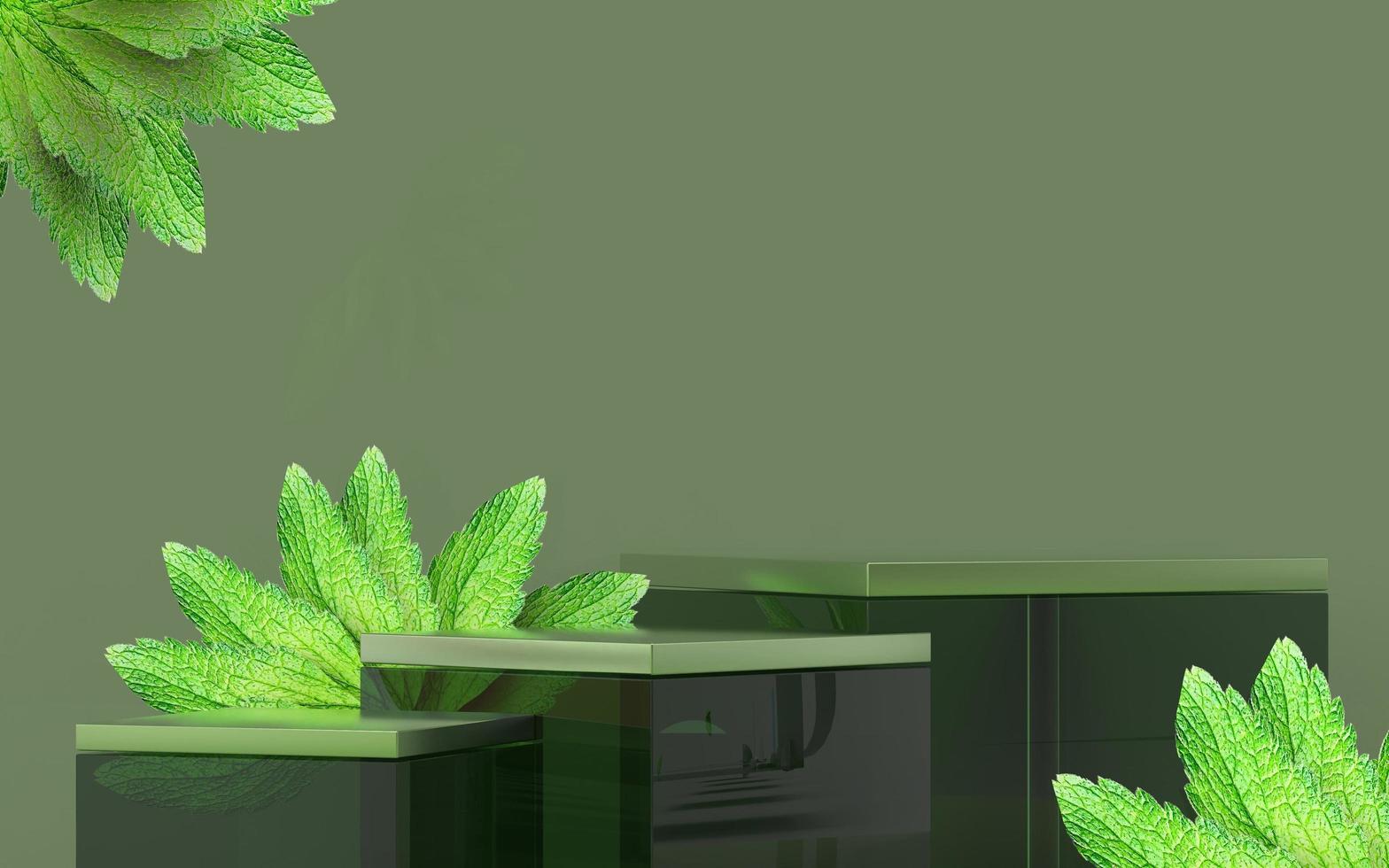 3d stage with nature sense green color and mint leaves for herbal natural product advertising and promotion three empty places photo