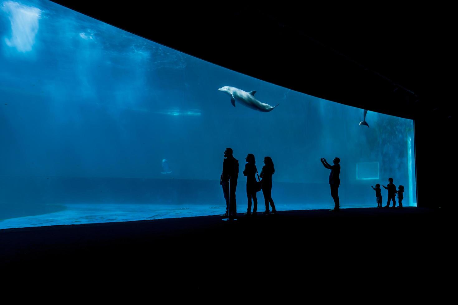 Génova, Italia, 2 de junio de 2015 - Personas no identificadas en el acuario de Génova. El acuario de Génova es el acuario más grande de Italia y uno de los más grandes de Europa. foto