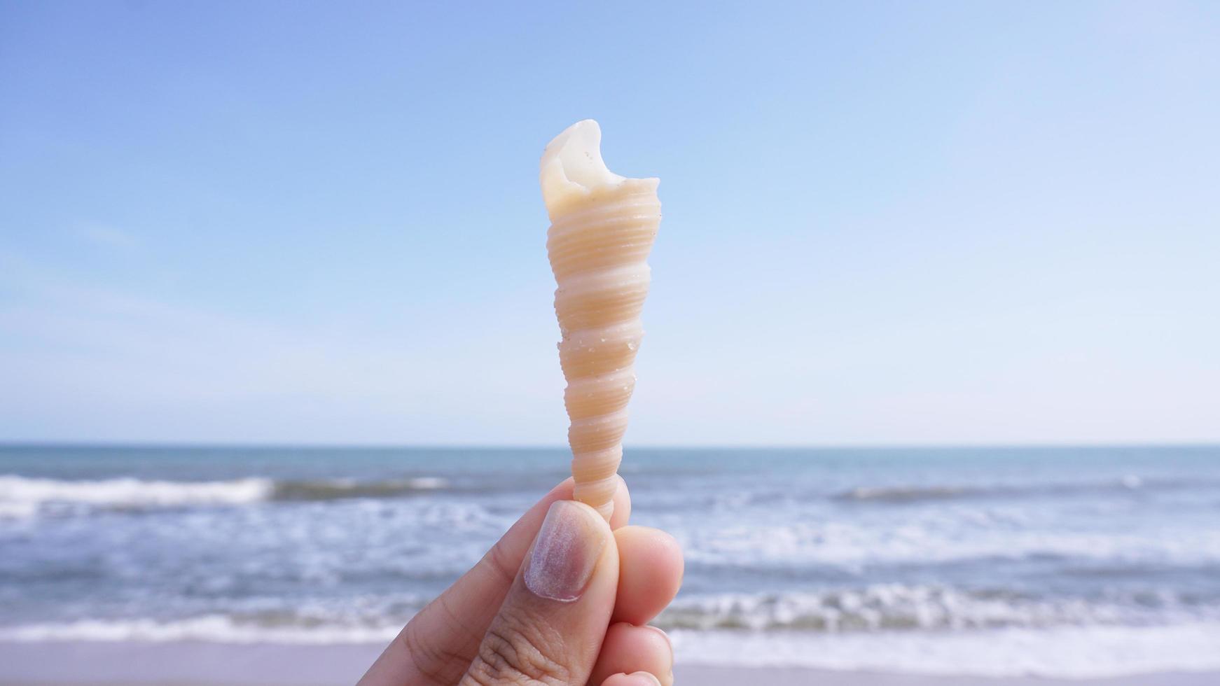 Selective focus of hand holding shell on blurred beach background photo