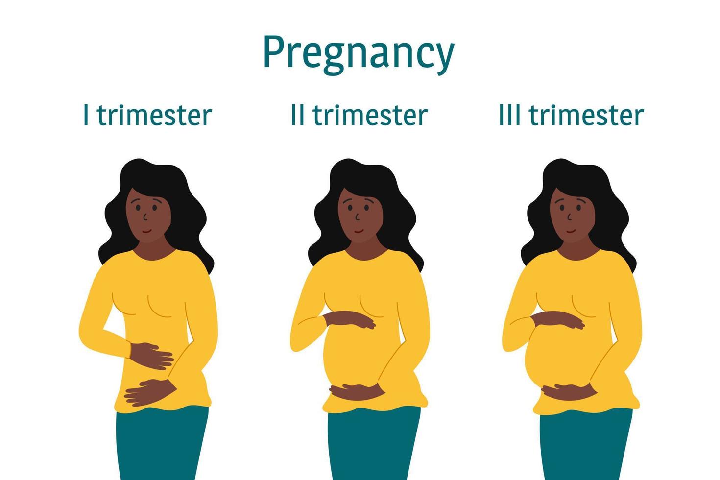 Pregnancy trimesters. Pregnant african american woman standing, smiling and touching belly in different stages. Body changes, belly grows. Vector infographics