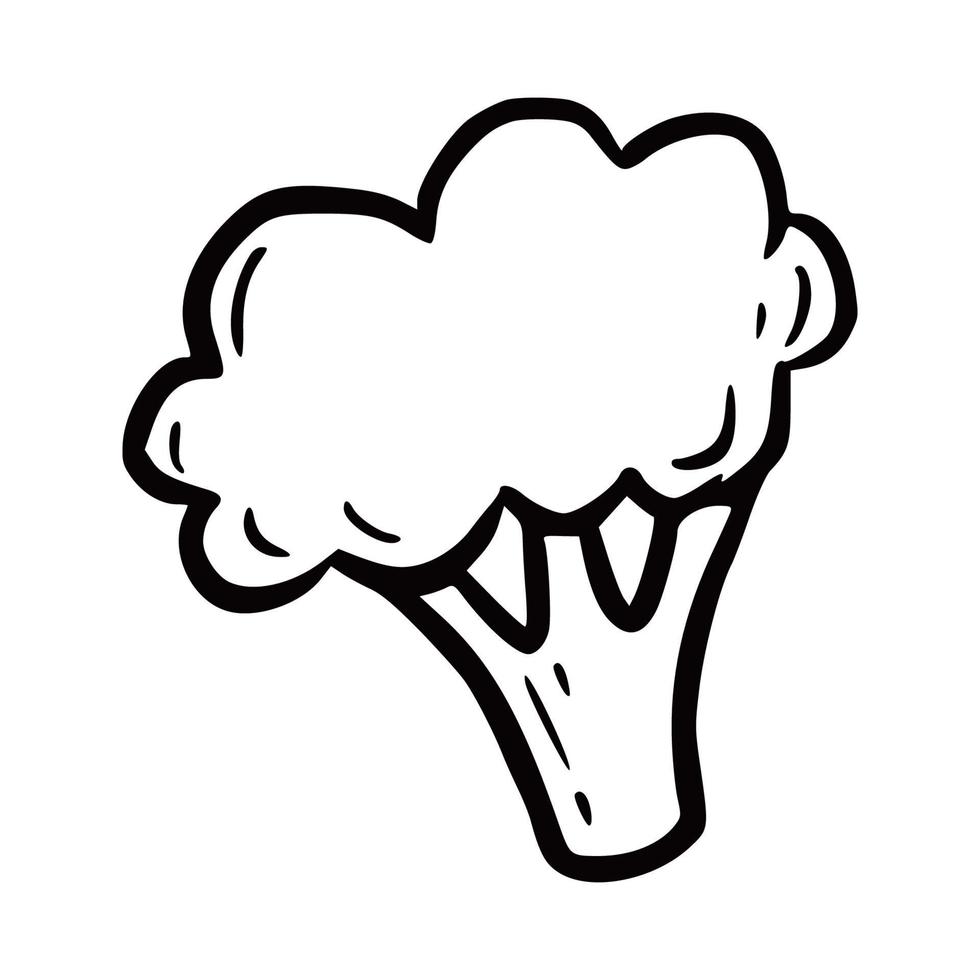 Hand drawn broccoli. Doodle sketch vector