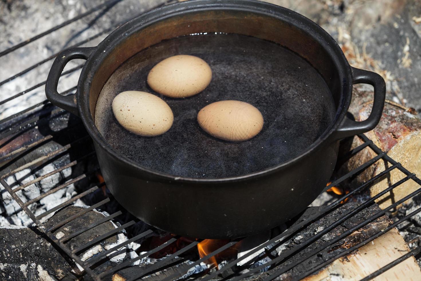 Eggs in a Cast Cauldron full Boiling Water photo