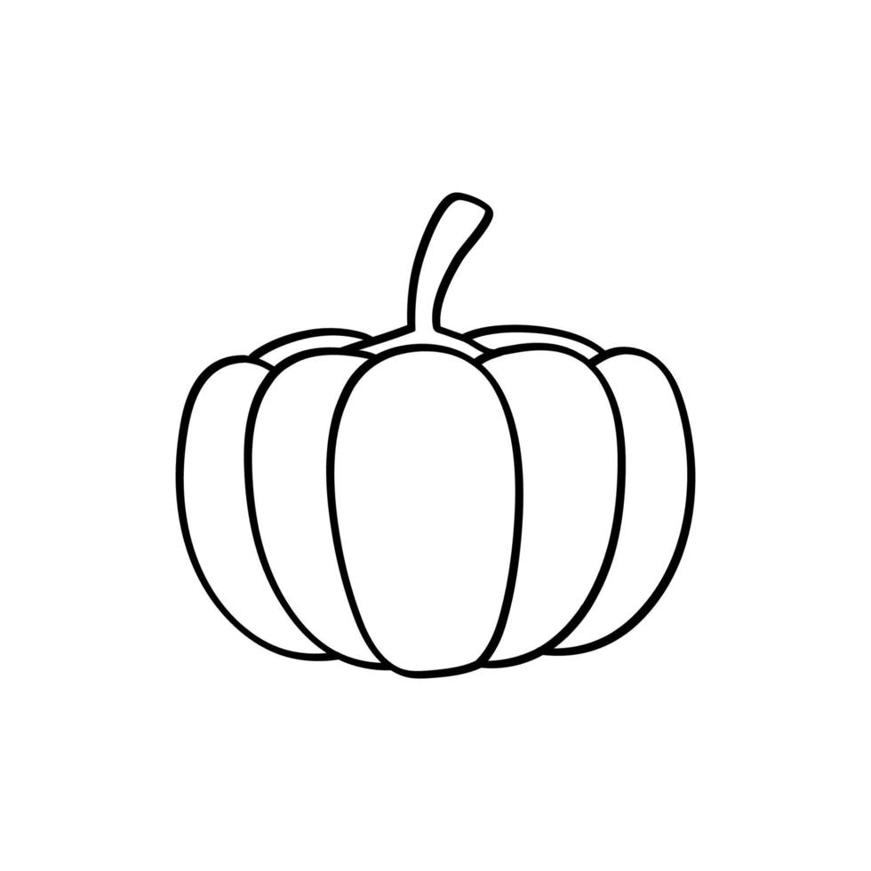 Pumpkin outline illustration. Element for autumn decorative design vector