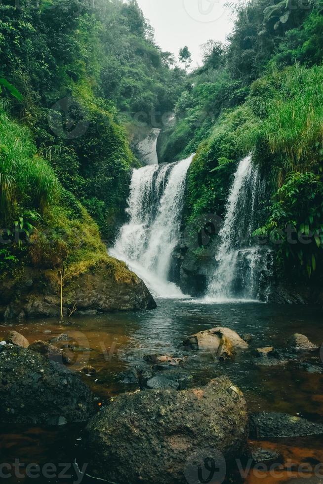 vista de la cascada en el medio del bosque foto