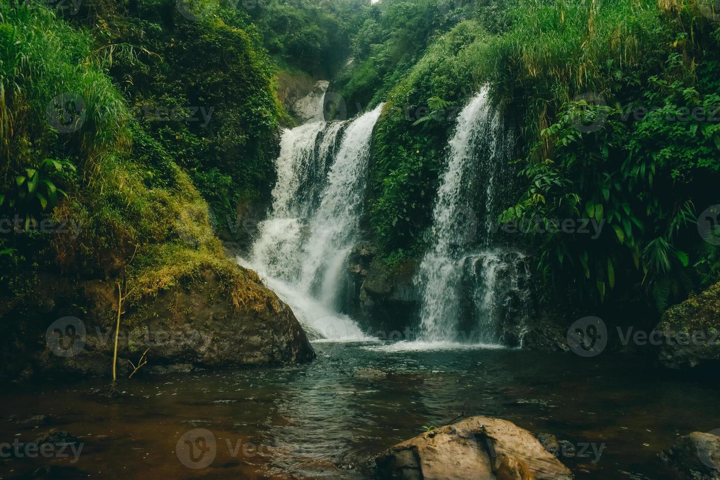 Waterfall view in the middle of the forest photo