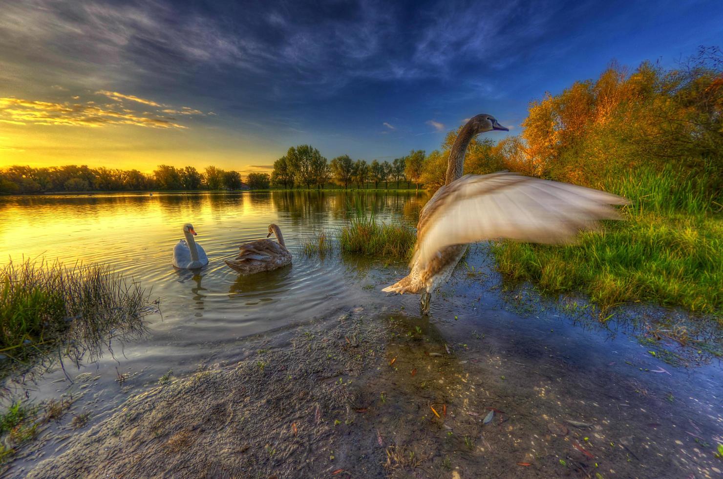 aprendiendo a volar foto