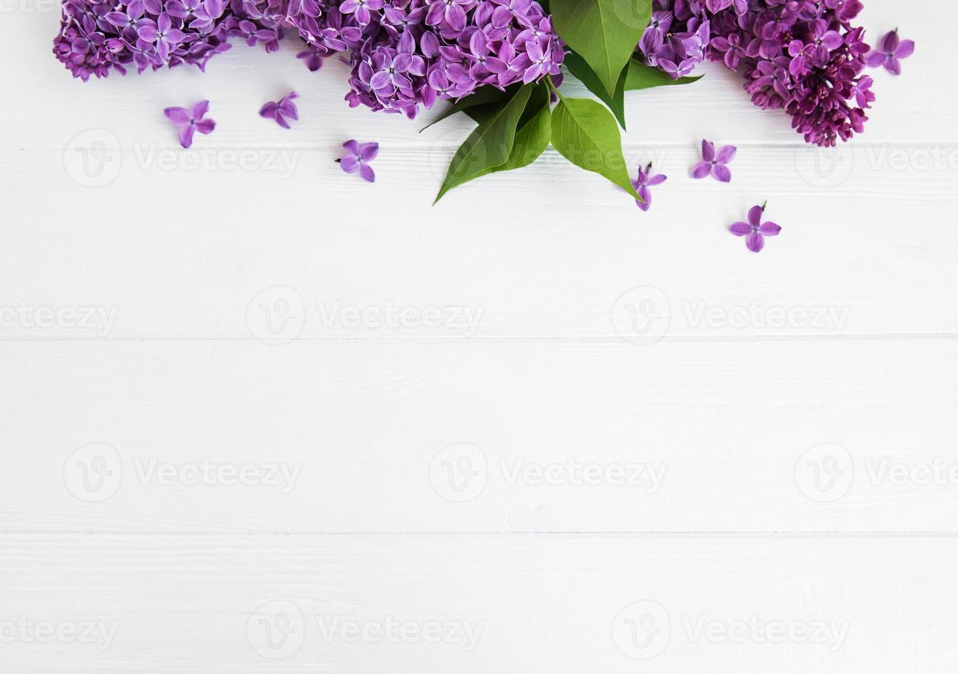 Lilac flowers on a table photo