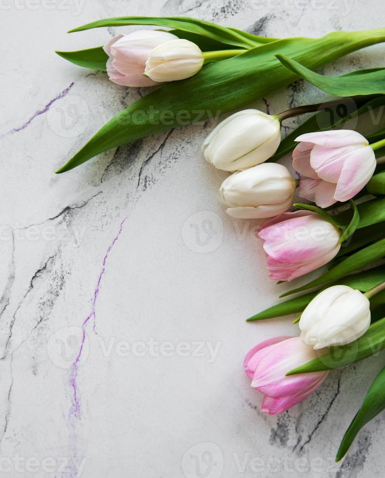 Pink spring tulips photo