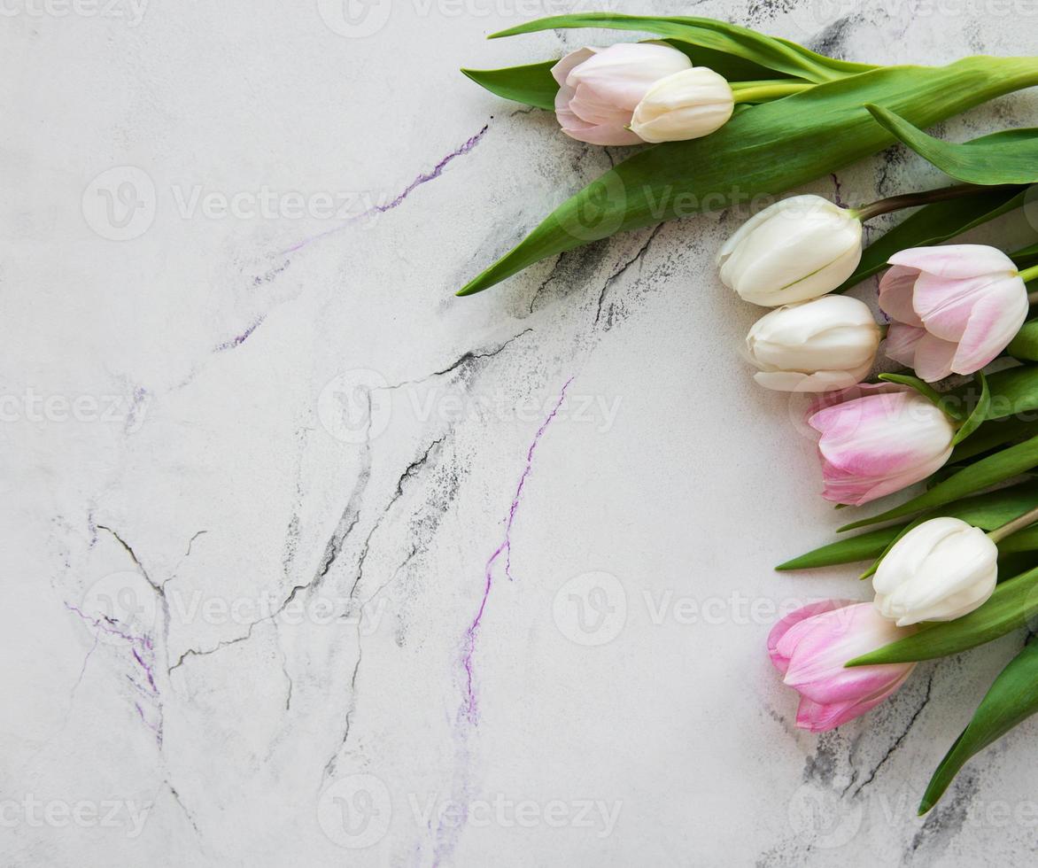 Pink spring tulips photo