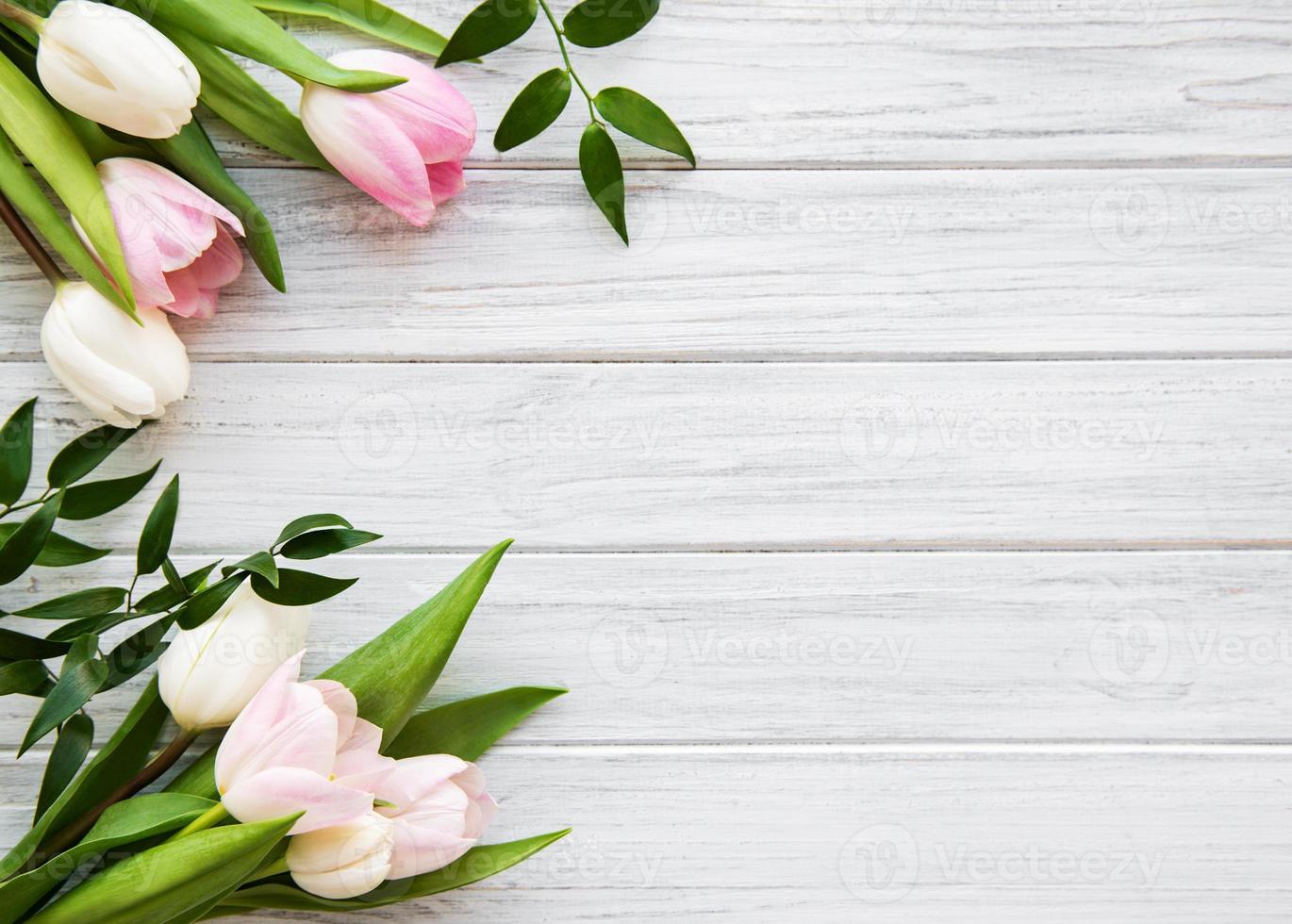 tulipanes de primavera rosa foto