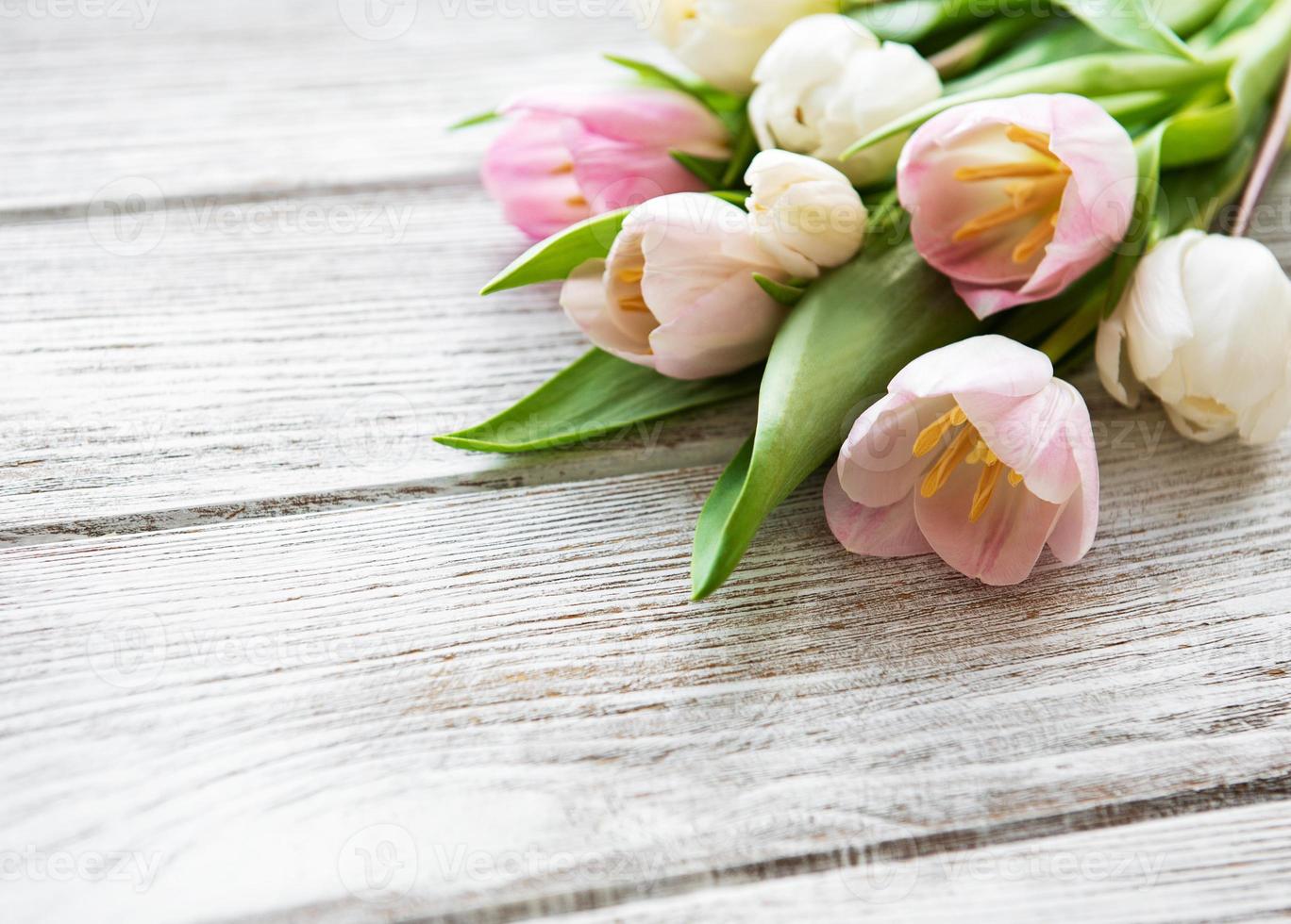 tulipanes de primavera rosa foto