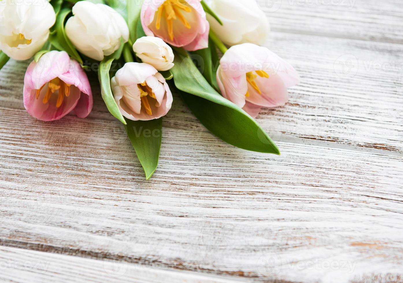 Pink spring tulips photo