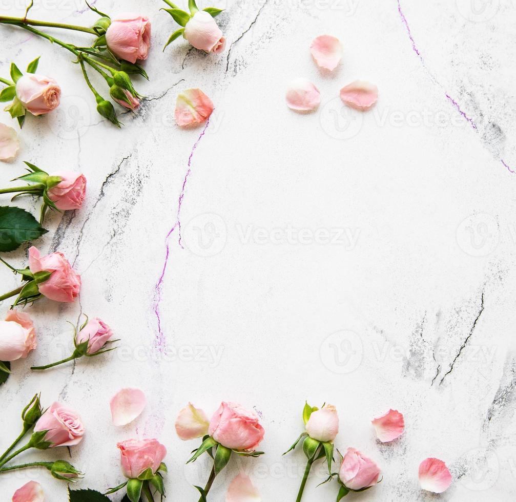 Pink roses frame photo