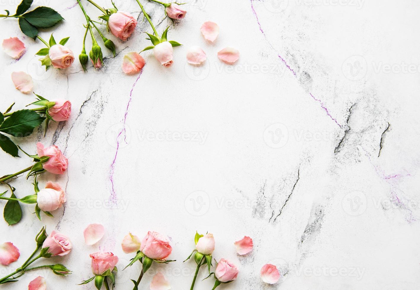 Holiday background with pink roses photo