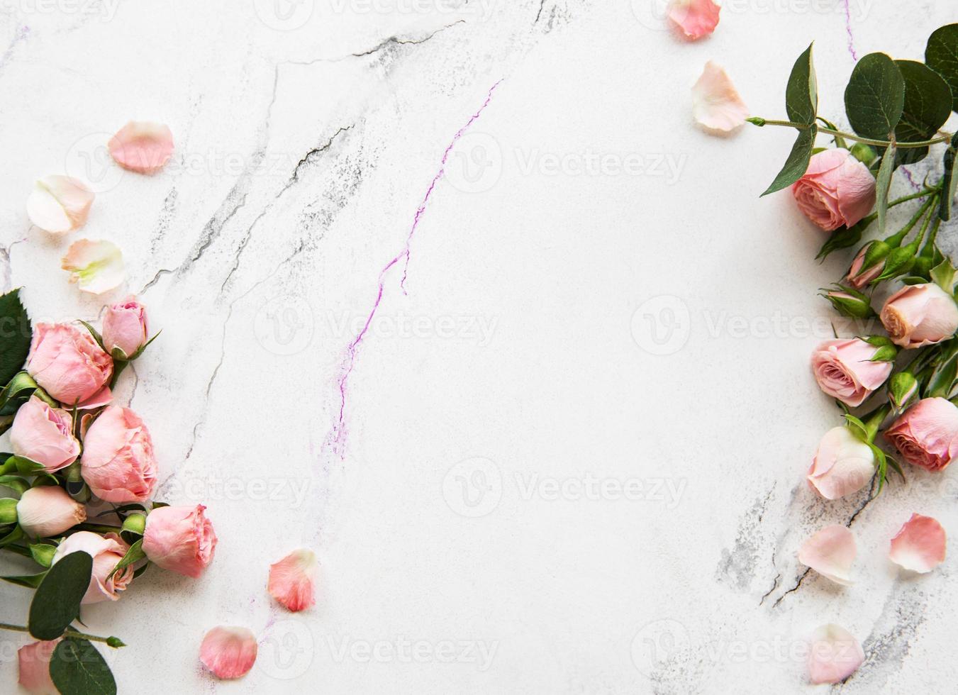 Holiday background with pink roses photo