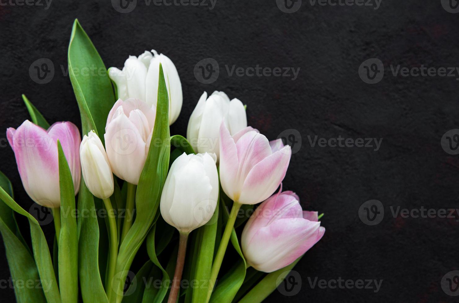 Pink spring tulips photo