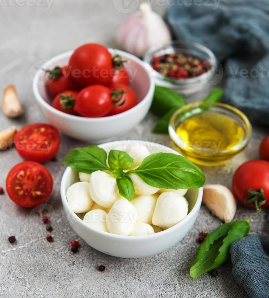 Italian food ingredients photo