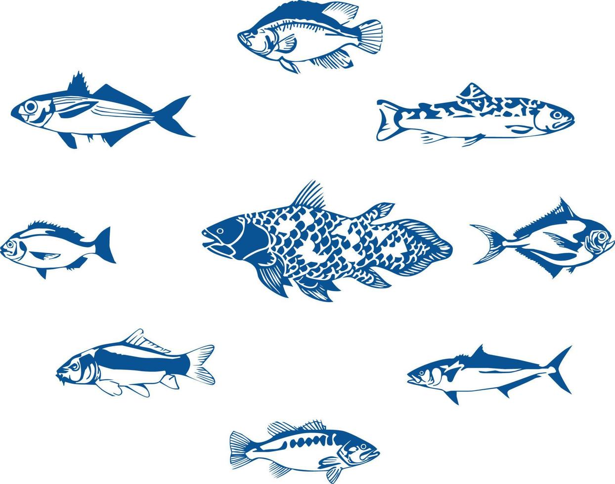 fish set collection vector