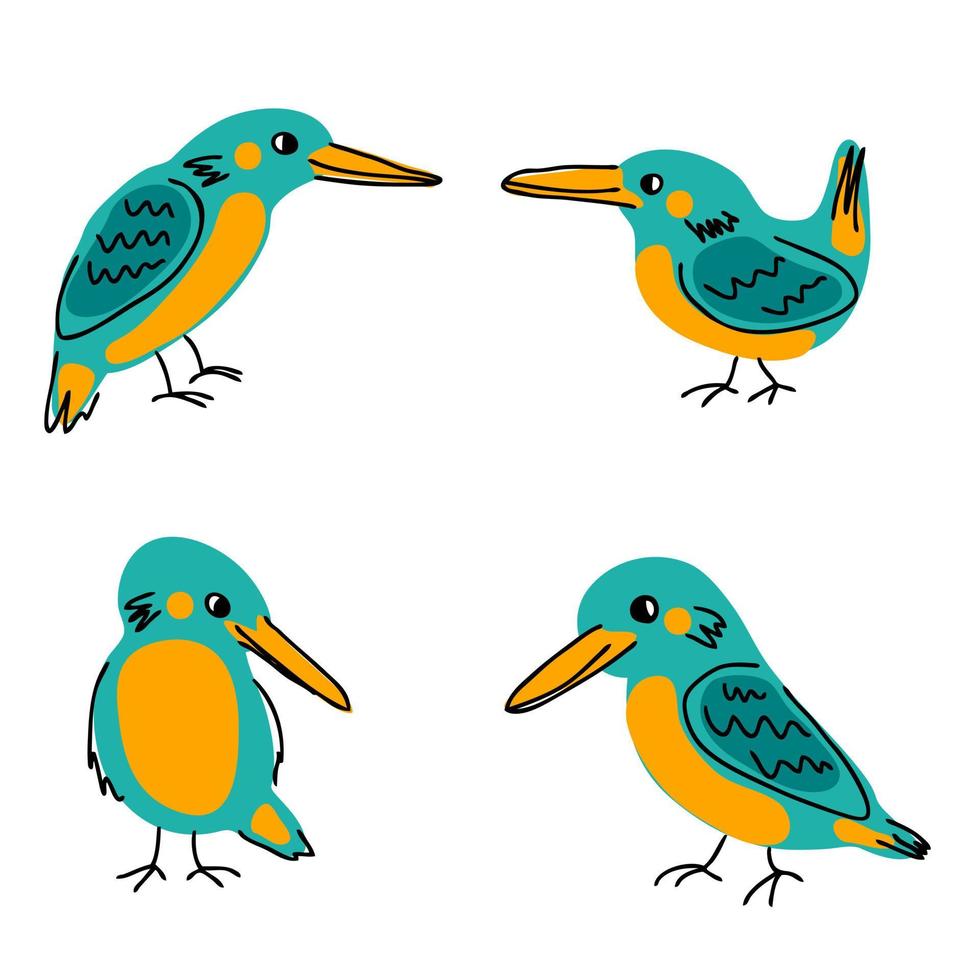 Hand drawn Kingfisher birds collection. vector