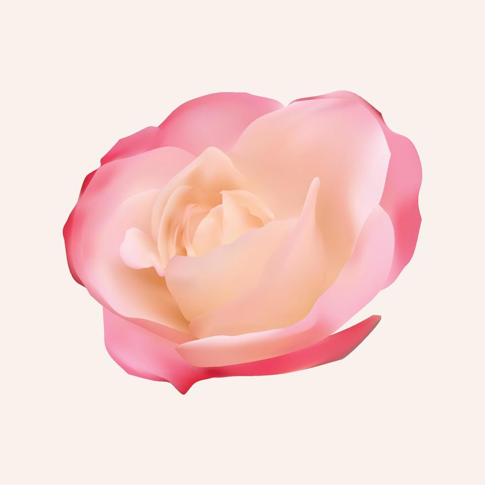 realistic beautiful flower vector