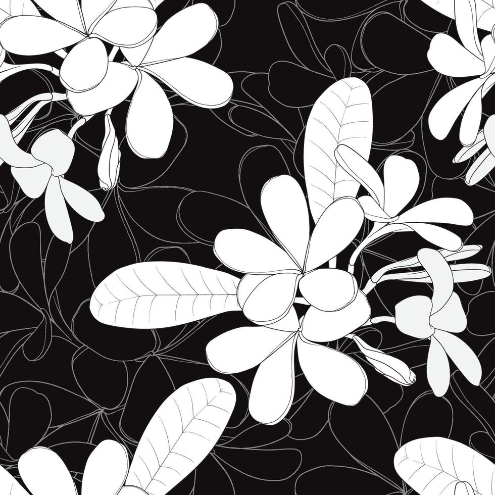 Seamless pattern floral with Frangipani flowers abstract background.Vector illustration hand drawn line art.fabric textile print design vector