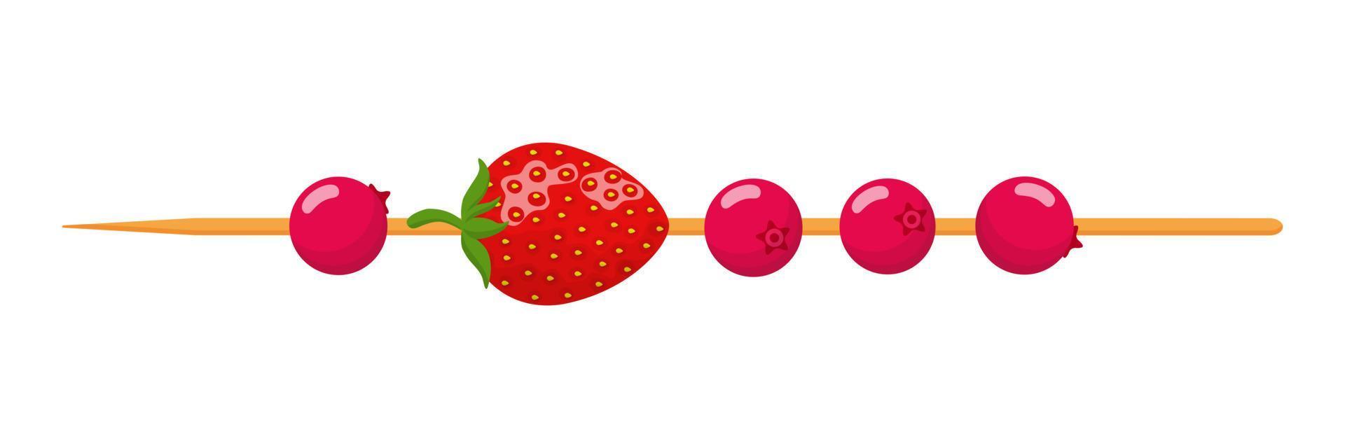 Fruit canape on wooden skewer. Strawberry and cranberry. vector