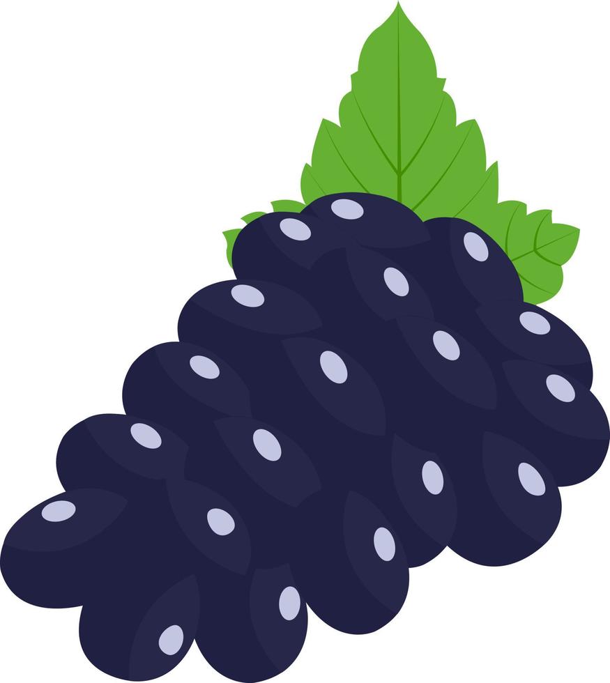 Health and Nutrition Benefits of blueberry dried fruit, blueberry fruit vector illustrations