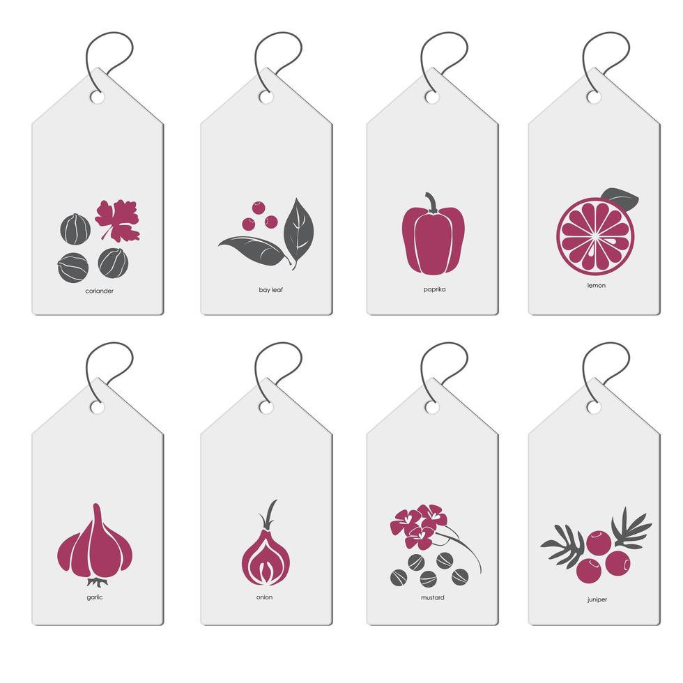 Template a set of bags with spices. Hand drawn vector