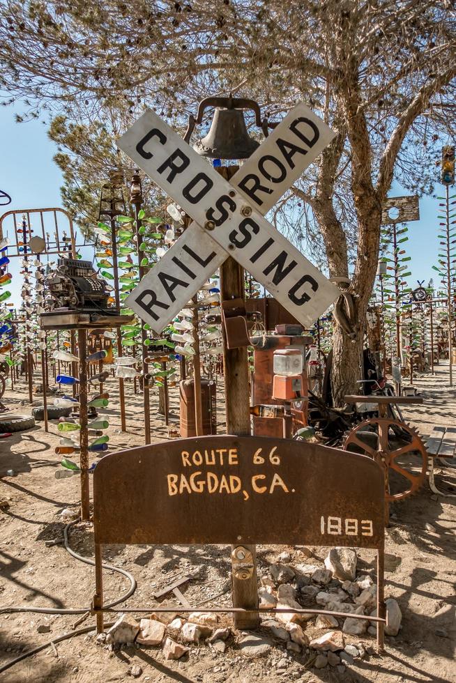 condado de san bernardino, ca, usa, 2021 - rancho de árboles de botella foto