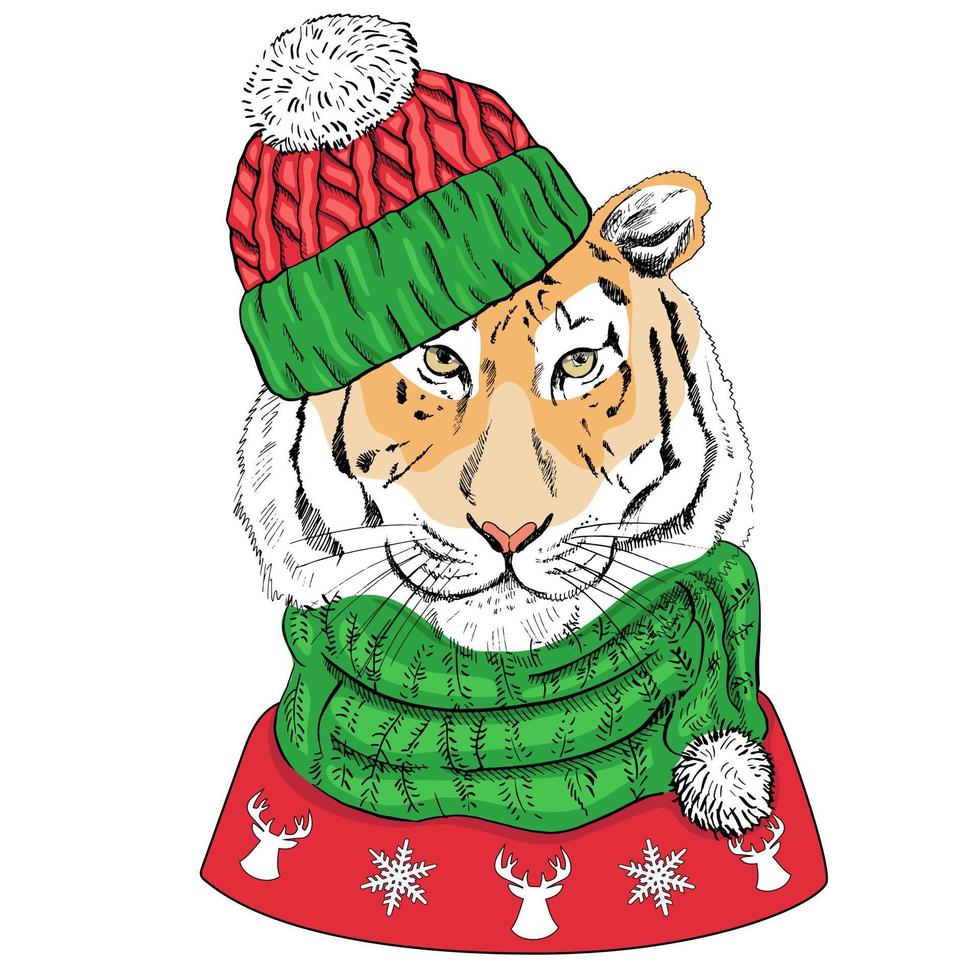 Hand - drawn portrait of a New Year tiger in a scarf, a knitted hat  and a red sweater with reindeer and snowflakes. Vector illustration. Vintage line sketch. Christmas illustration. Tiger in clothes.