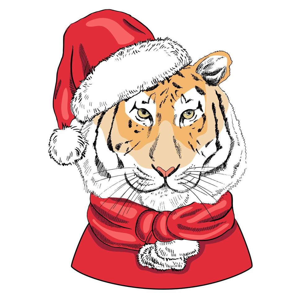 Hand - drawn portrait of a New Year tiger in a scarf,  a santa claus hat and a red coat. Vector illustration. Vintage line sketch. Christmas illustration. Tiger in clothes.