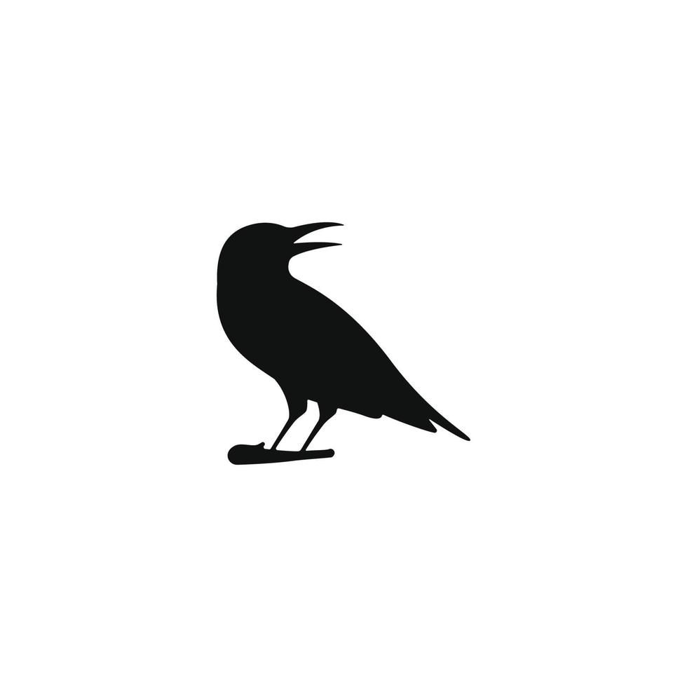 raven vector design