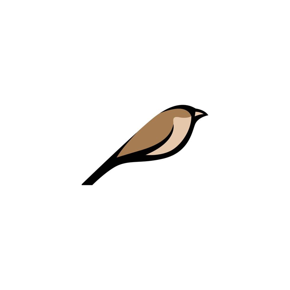 sparrow vector design
