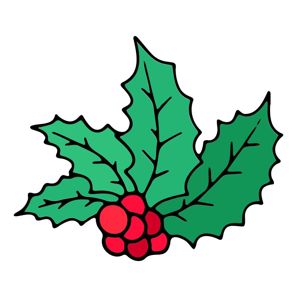 Vector festive holly, Christmas holly decoration