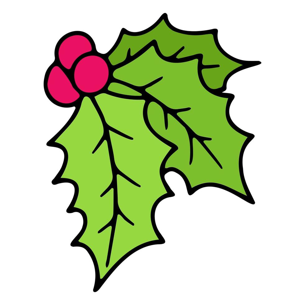 Vector festive holly, Christmas holly decoration